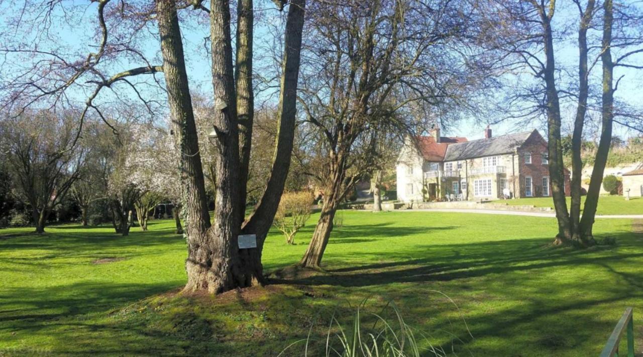 17Th-Century One Bed Studio With Parking & Garden! Elkesley Exterior foto