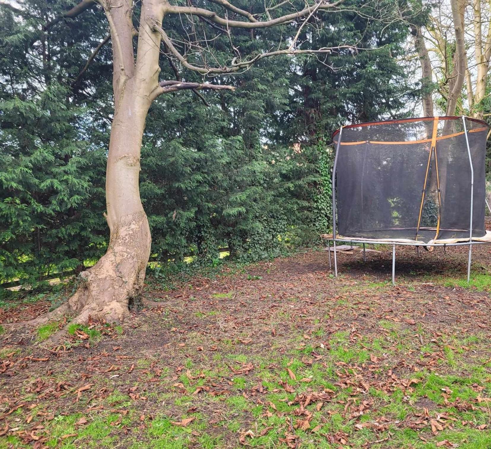 17Th-Century One Bed Studio With Parking & Garden! Elkesley Exterior foto
